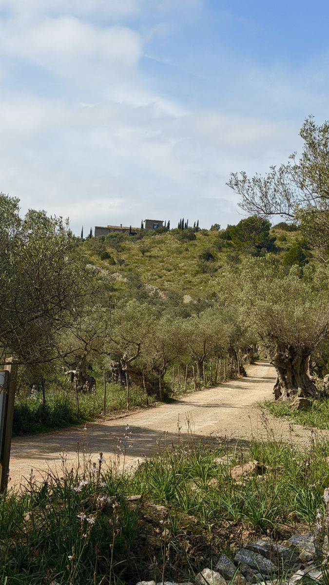 Wanderweg entlang der Küste bei Port de Sóller