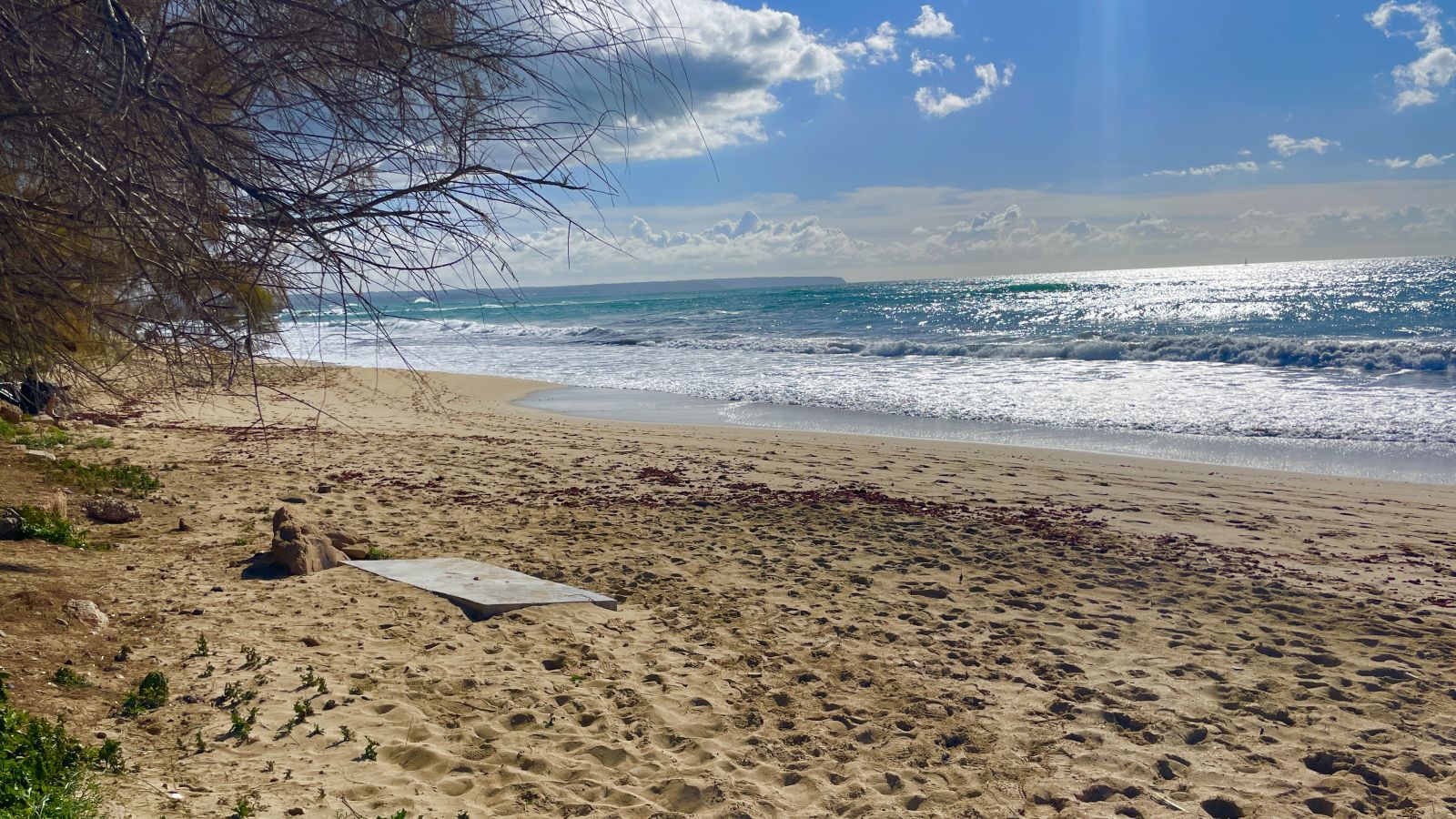 Genussmomente am Meer – Beach Bars & Tapas in Ciudad Jardín erleben