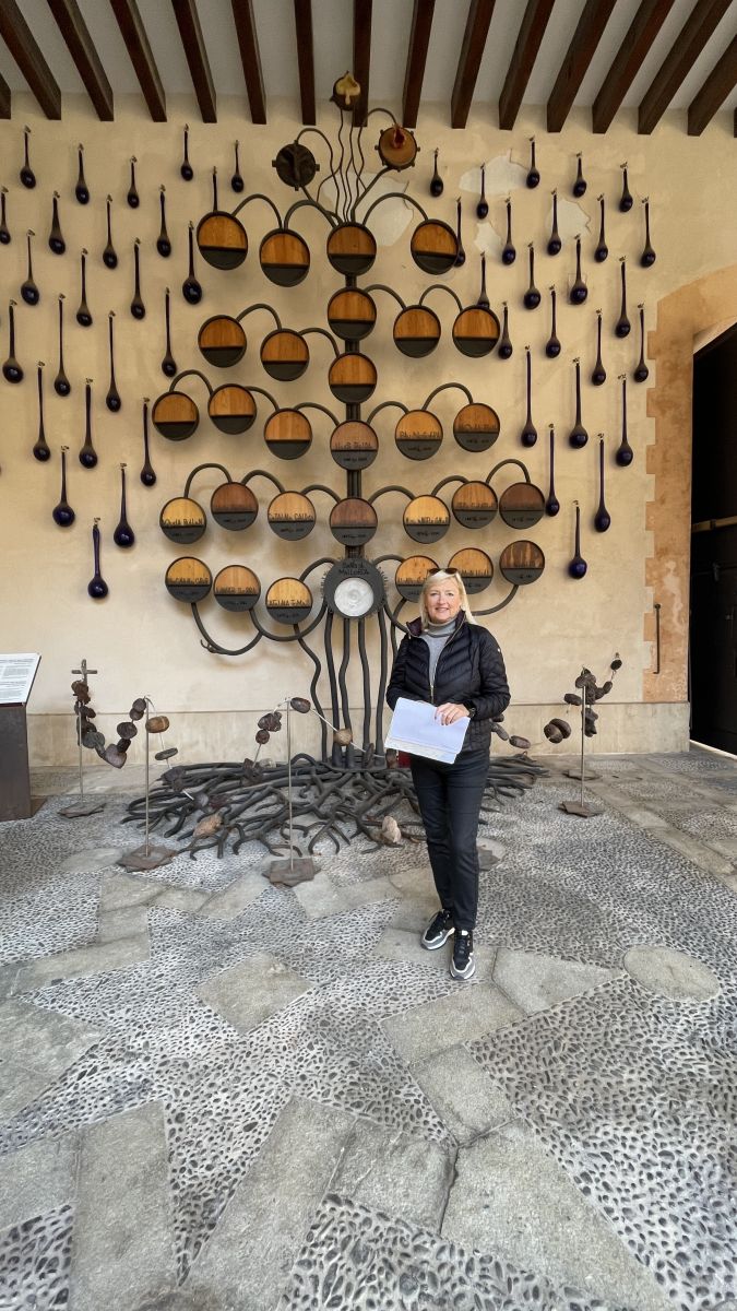 Stadtrundgang durch Palma – mediterranes Flair in jeder Gasse erleben