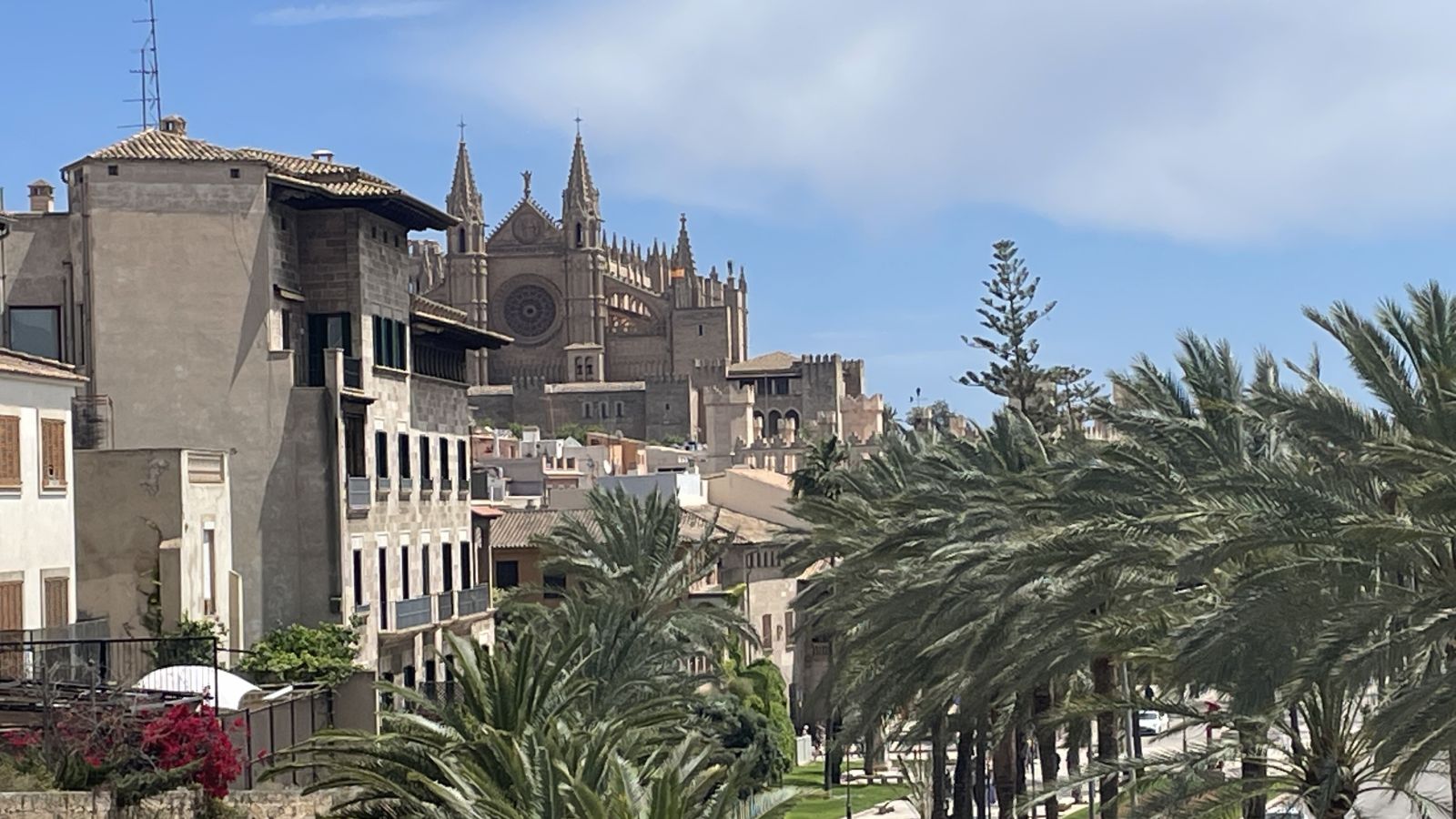 Kaffeehauskultur auf mallorquinisch – kleine Pausen in Palmas Cafés