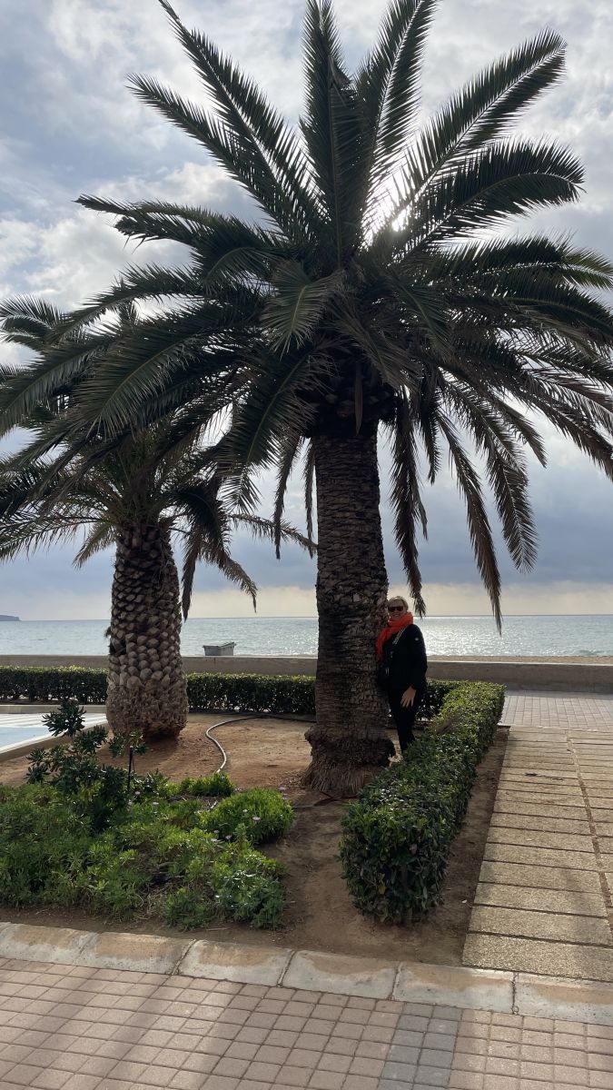 Typisch Mallorca: Sanft wiegende Palmen vor dem klaren, blauen Mittelmeer.