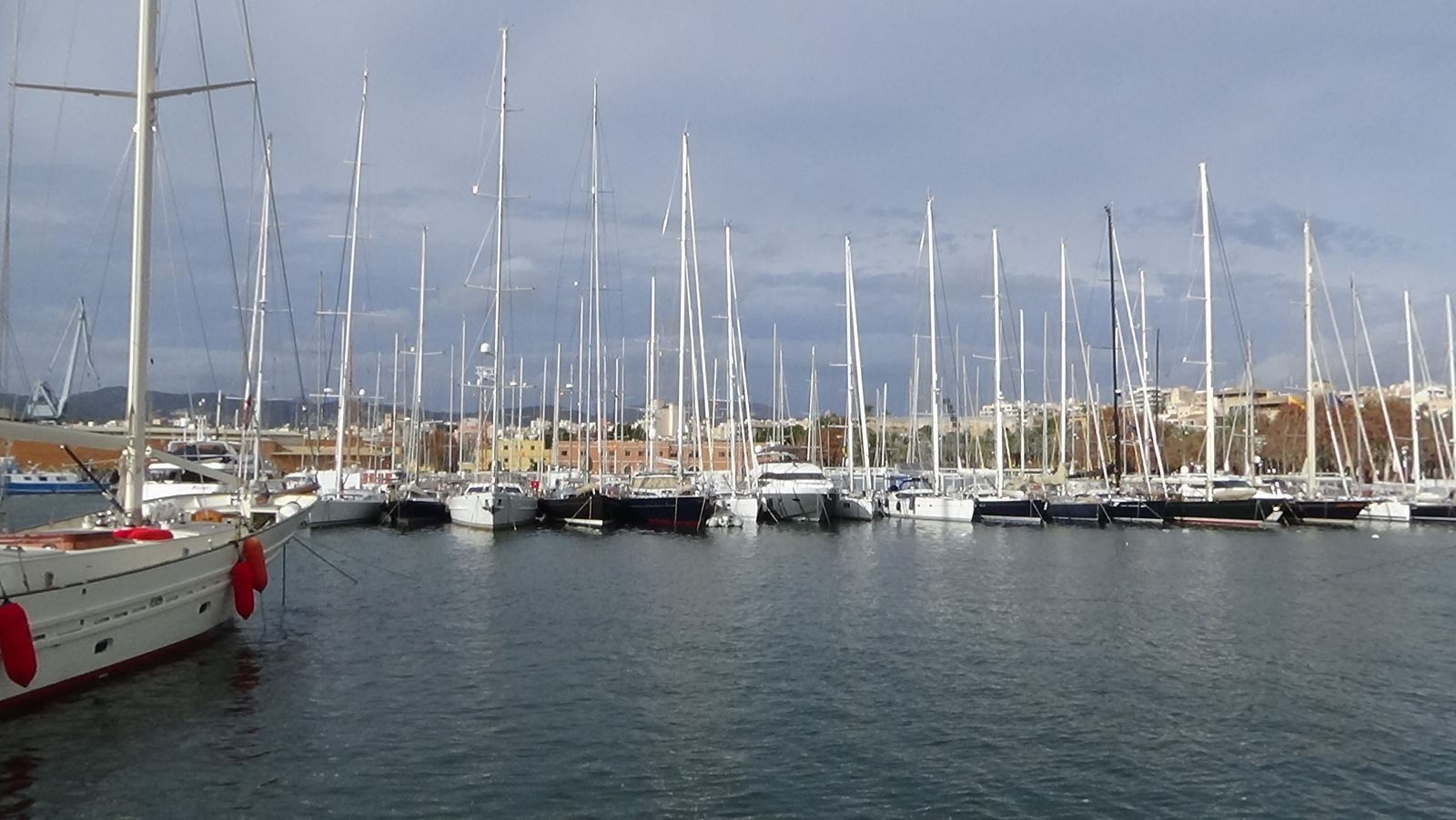 Panoramablick auf den Hafen von Port de Sóller mit Fischerbooten und Yachten, umgeben von Bergen und mediterraner Architektur – beliebtes Ausflugsziel im Oktober auf Mallorca.